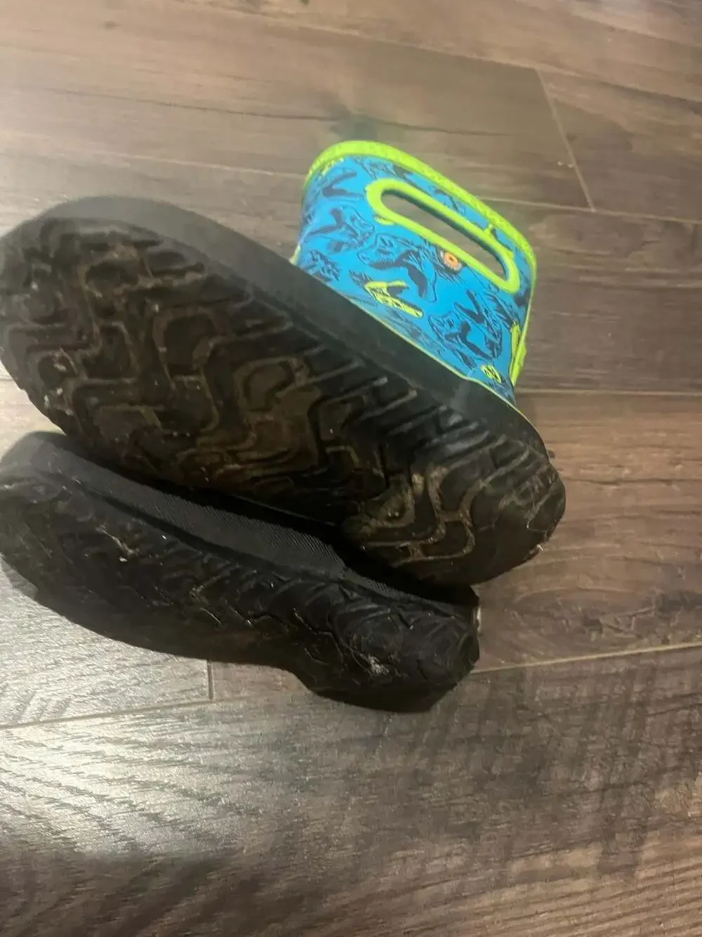 Bogs Skipper Cool Dinos Waterproof Rain Boots